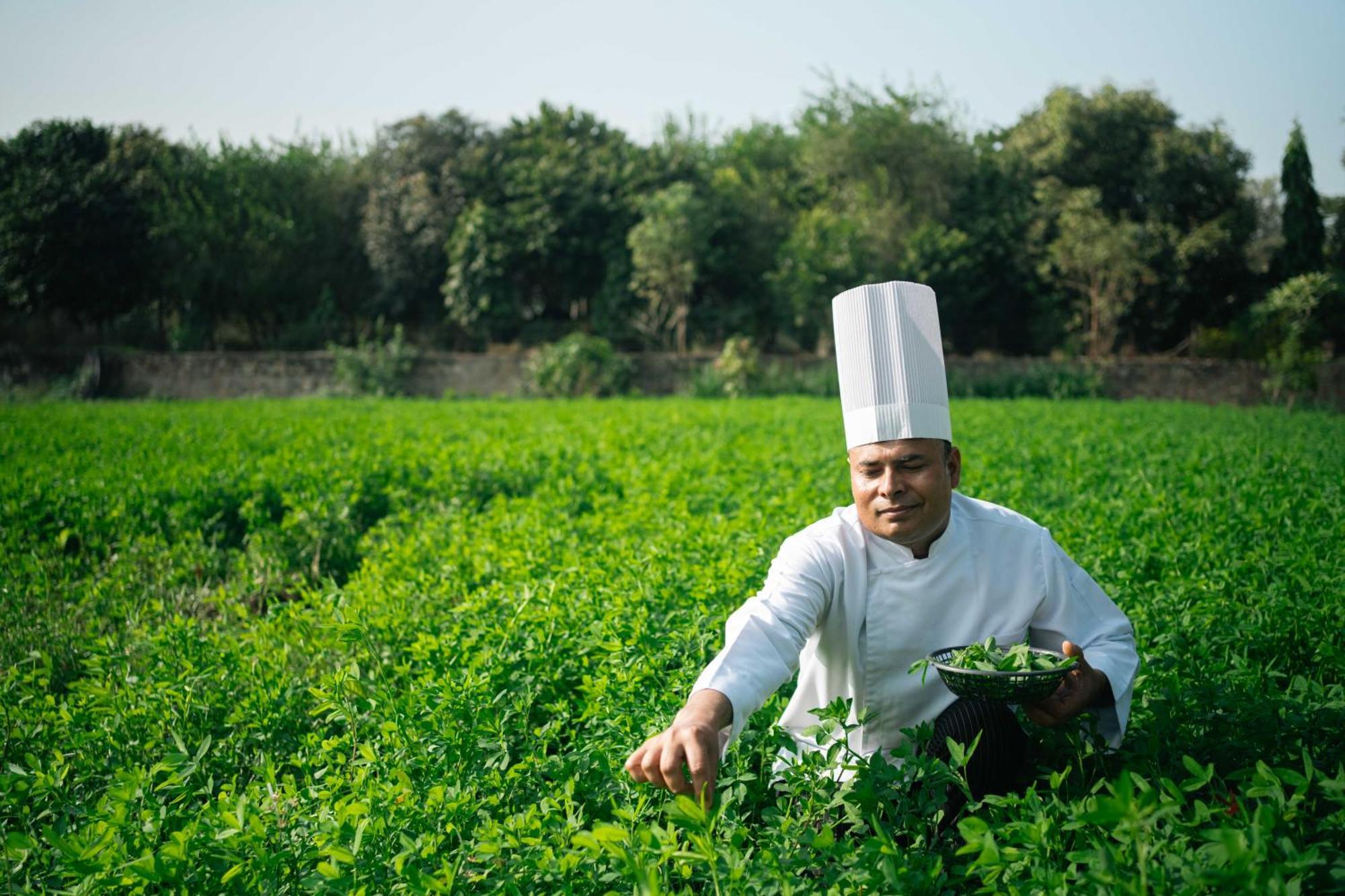 Abhyaran Resort & Spa Ranthambore Sawai Madhopur Esterno foto