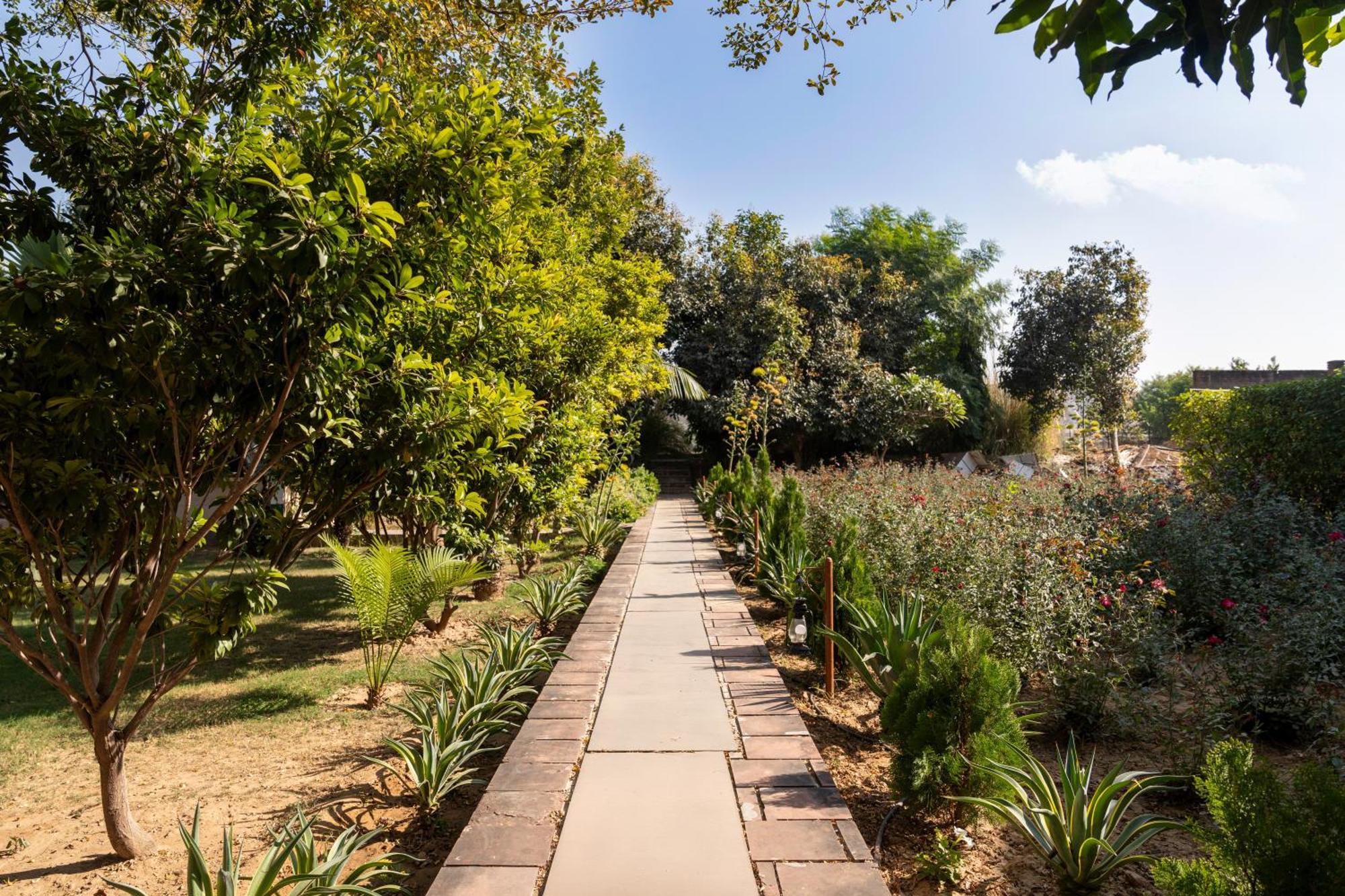 Abhyaran Resort & Spa Ranthambore Sawai Madhopur Esterno foto
